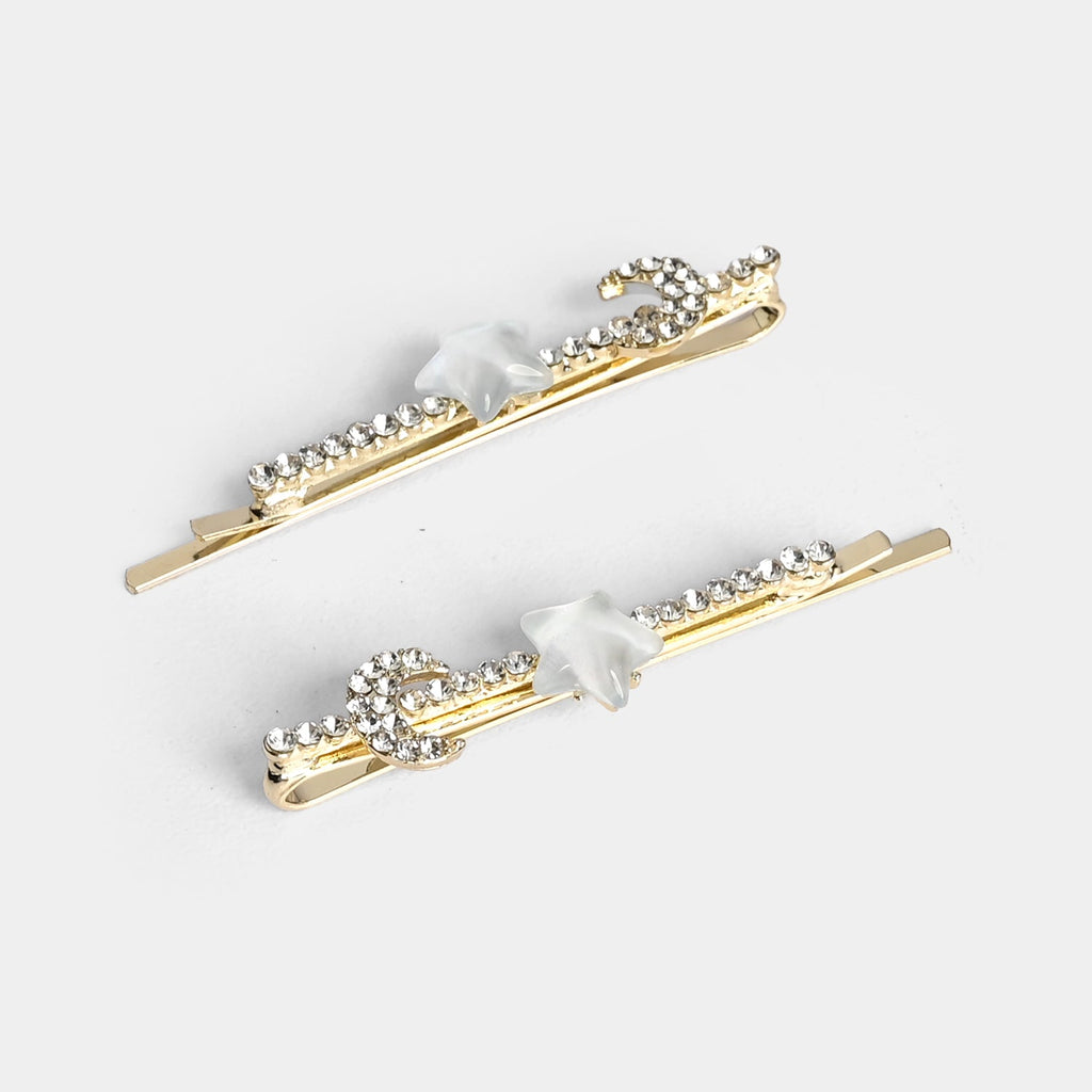 Elegant Hair Clip Set – 2 Pieces