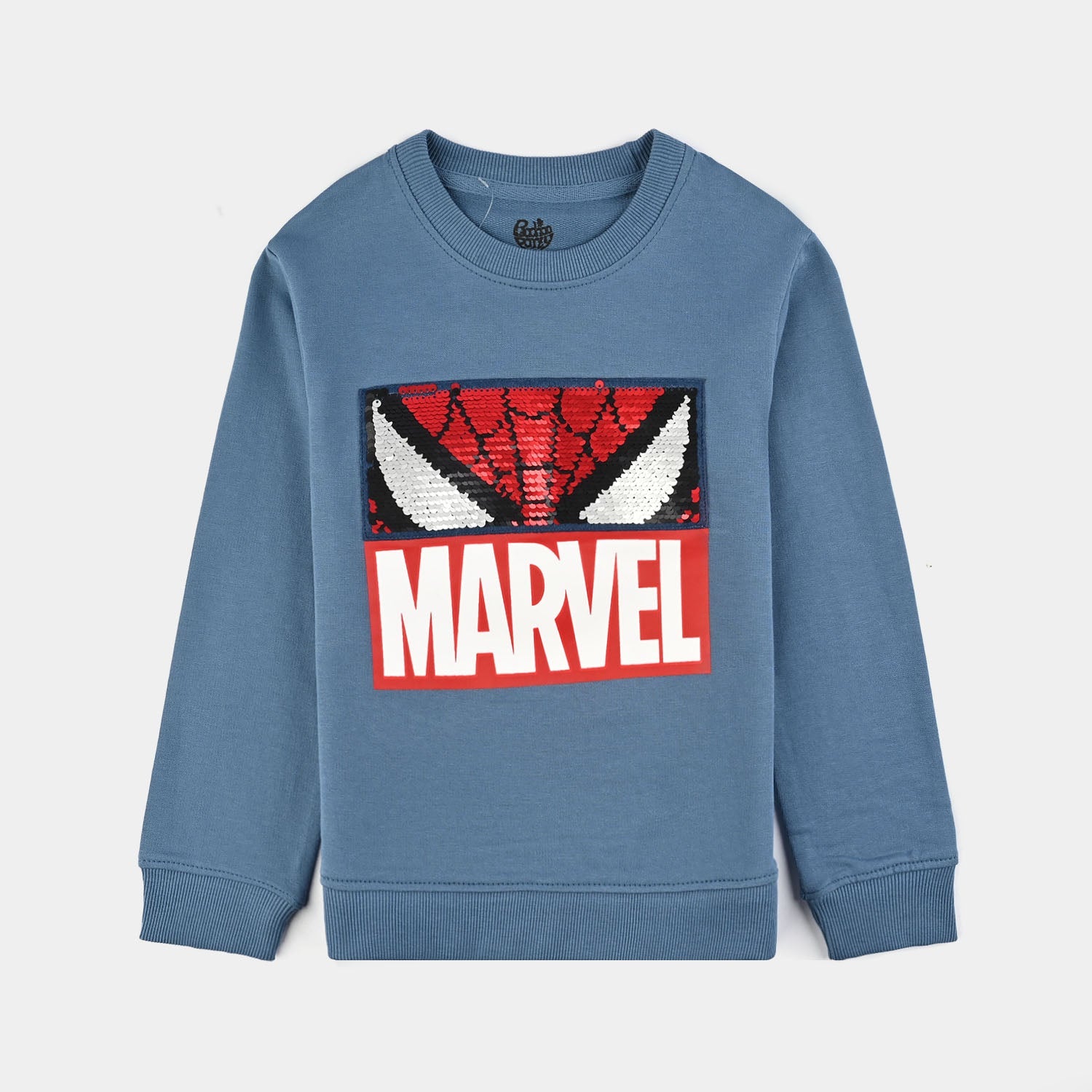 Boys Jersey/Terry Sweatshirt Character