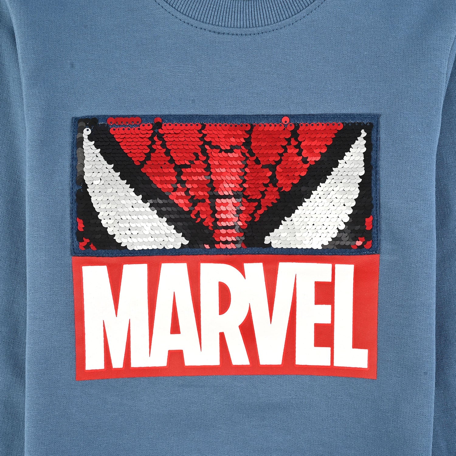 Boys Jersey/Terry Sweatshirt Character