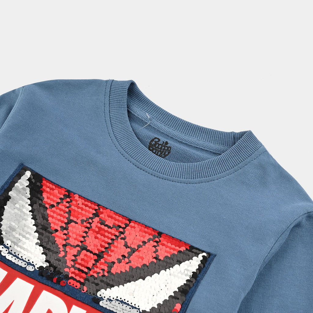 Boys Jersey/Terry Sweatshirt Character